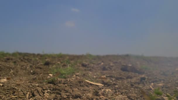 Mist drijven op landelijke landoppervlak — Stockvideo