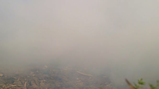 Mist drijven op landelijke landoppervlak — Stockvideo