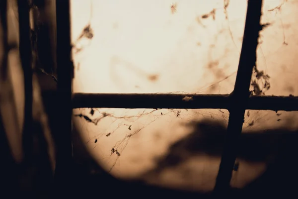 Lâmpada velha. Tem teias de aranha e poeira — Fotografia de Stock