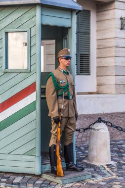 Cumhurbaşkanlığı Sarayı'nda tören bekçi
