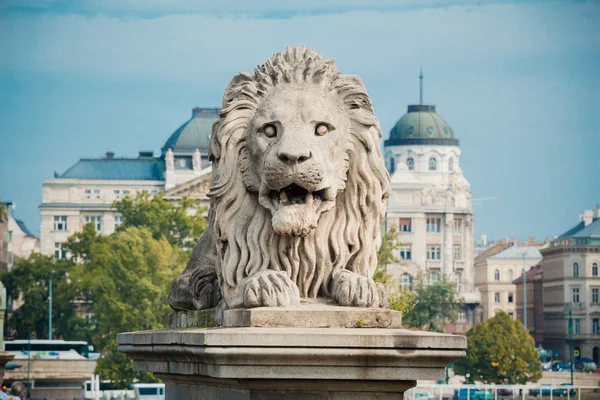 Löwenstatue an der Kettenbrücke — Stockfoto