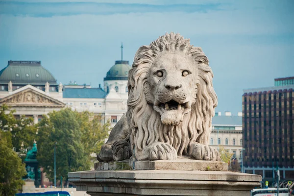 Estatua de león en el puente Chain — Foto de Stock