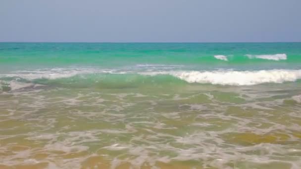 Calme bord de mer exotique — Video