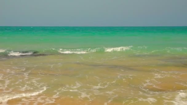 Calma spiaggia esotica — Video Stock