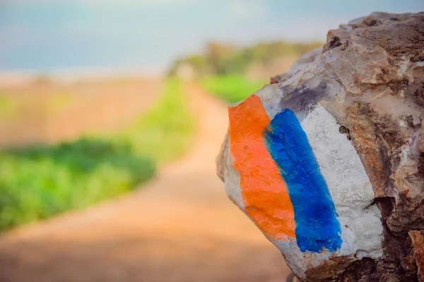 Kırsal alanda bir taş üzerinde iz işareti (İsrail Trail) hiking boyalı