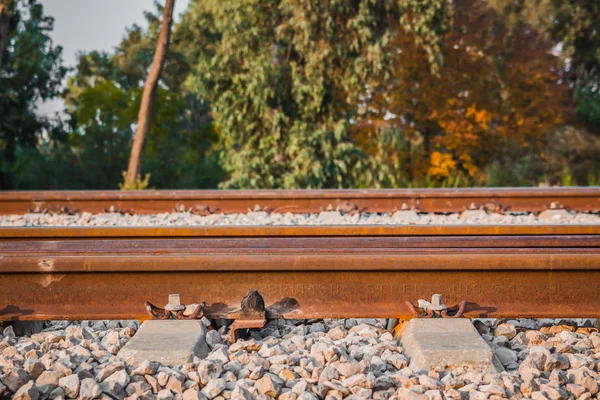 Railroad track in a rural area in the afternoon — Stock Photo, Image