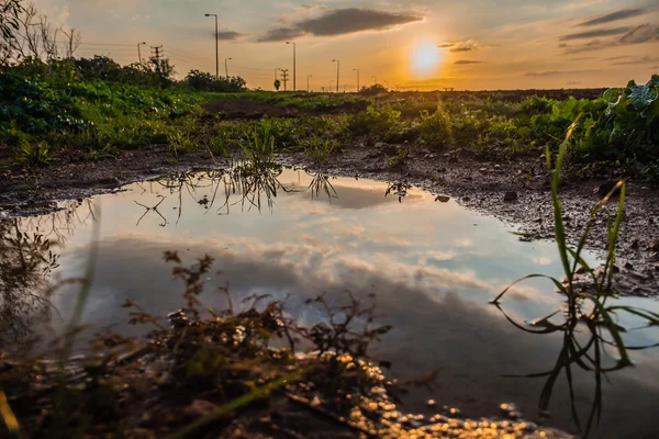 Himmel spiegelt sich in einer Wasserpfütze auf einem Feld bei Sonnenuntergang — Stockfoto