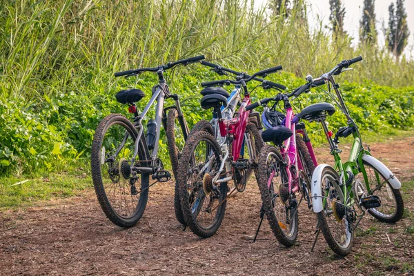 Várias bicicletas estacionadas em uma estrada de terra — Fotografia de Stock