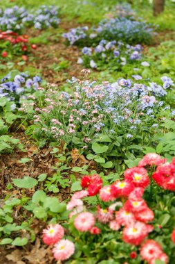 Peygamber ve korun orman glade içinde