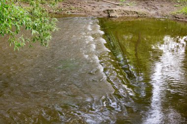 ormandaki küçük bir nehrin hızlı akış
