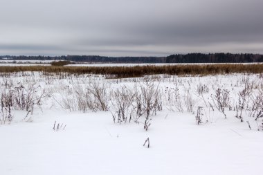 karlı alan kasvetli gri gökyüzü altında