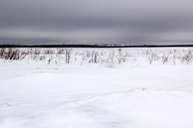 karlı alan kasvetli gri gökyüzü altında
