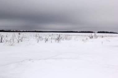 karlı alan kasvetli gri gökyüzü altında
