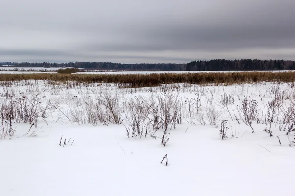 karlı alan kasvetli gri gökyüzü altında