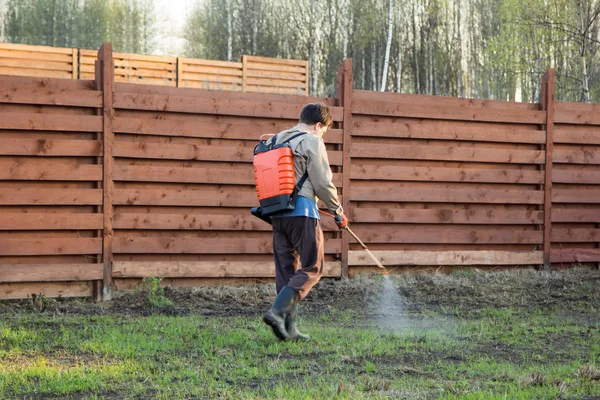 Mies suihkuttaa ruohoa reppuruiskun rikkakasvien torjunta-aineella — kuvapankkivalokuva