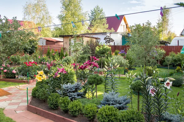 Blommor buskar träd och gräsmattan i trädgården — Stockfoto