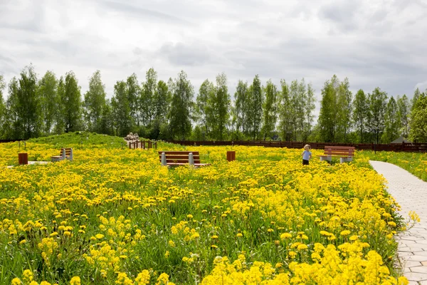 Liten flicka i parken bevuxen med maskrosor — Stockfoto