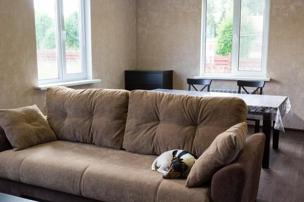 Hund schläft auf Couch im Wohnzimmer eines Landhauses — Stockfoto