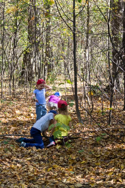 Vier Kinder spielen im Herbstwald — Stockfoto