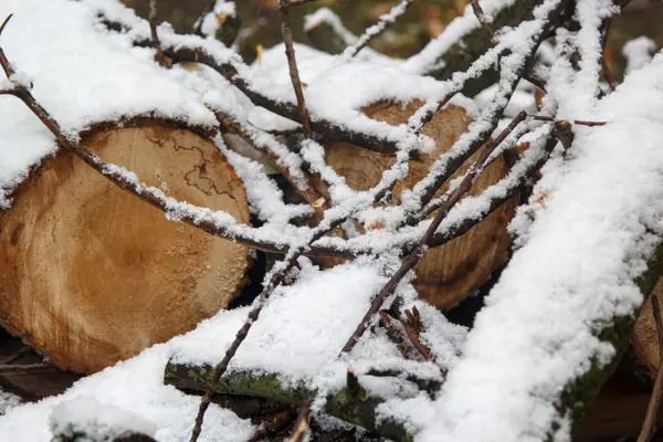 Ágak és fű alatt az első hó bejelentkezése — Stock Fotó