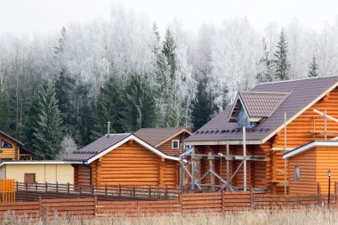 woods evlerde frost ile kaplı