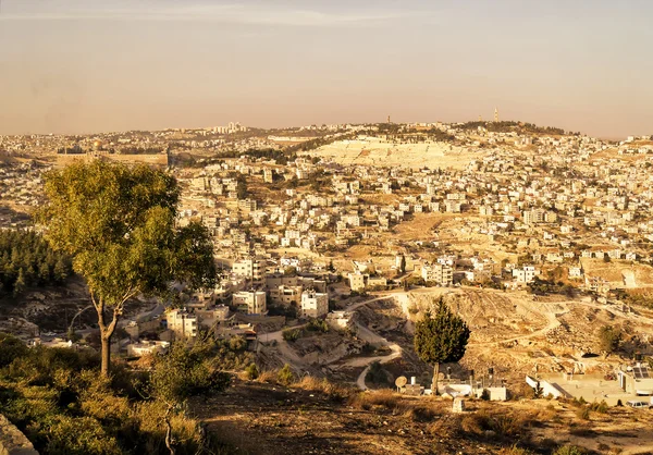 Widok na Jerozolimę, Stare Miasto i Góry Oliwnej — Zdjęcie stockowe