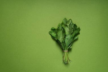 Taze organik kuş, yeşil arka planda ıspanak tohumu.