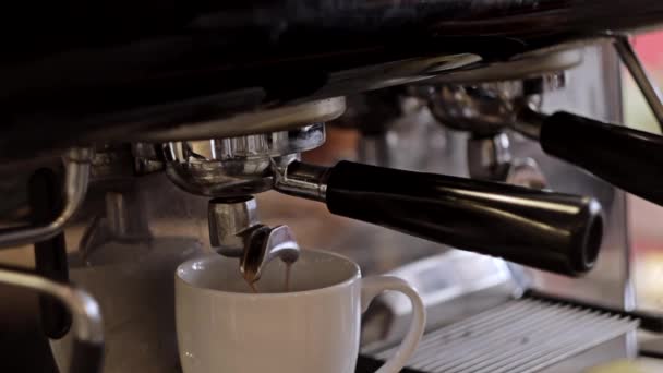 Espresso voorbereiding cappuccino. Close-Up. — Stockvideo