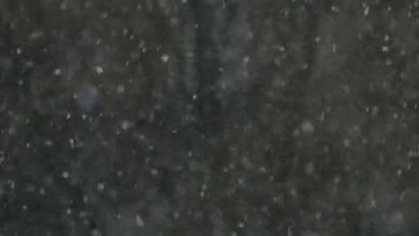 Erste Schneefallstadt — Stockvideo