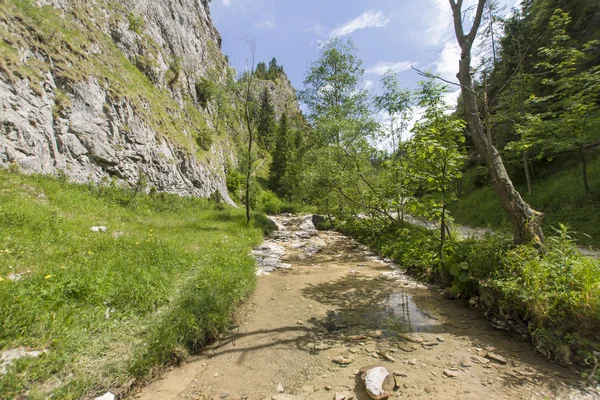 Río en desfiladero rocoso —  Fotos de Stock