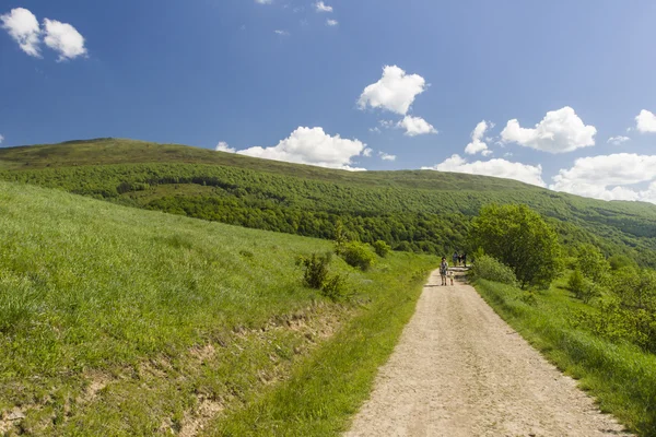 Groene heuvels — Stockfoto