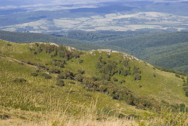 Collines des monts Bieszczady — Photo