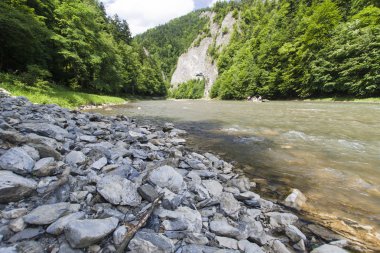 Dağ nehri