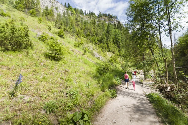 Dağ dağ geçidi — Stok fotoğraf