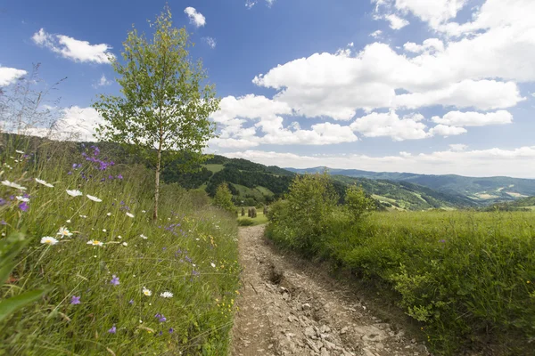 Wandelpad — Stockfoto