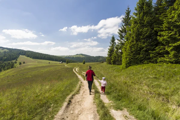 Pe traseul drumețiilor — Fotografie, imagine de stoc