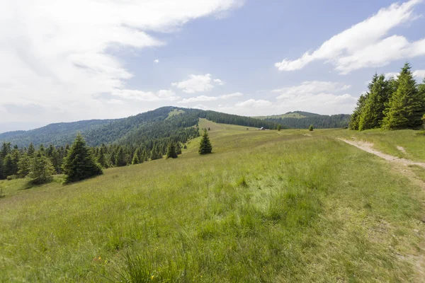 Tierras altas — Foto de Stock