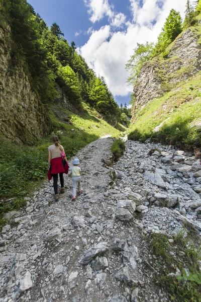 Gola di montagna — Foto Stock