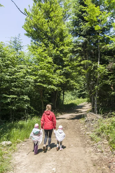 Piesze wędrówki w lesie — Zdjęcie stockowe