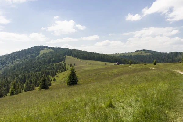 Tierras altas — Foto de Stock