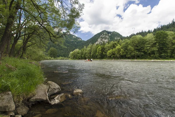 Rivière de montagne Images De Stock Libres De Droits