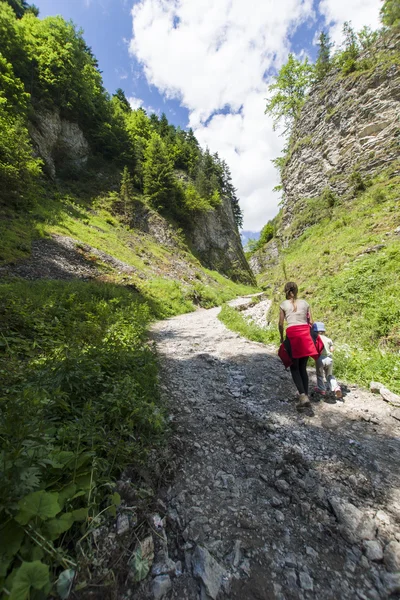 Ravin de montagne Photo De Stock