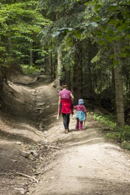 Ormanın yürüyüş