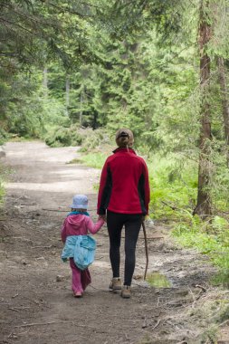 Ormanın yürüyüş