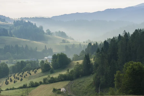 Collines dans le brouillard matinal — Photo