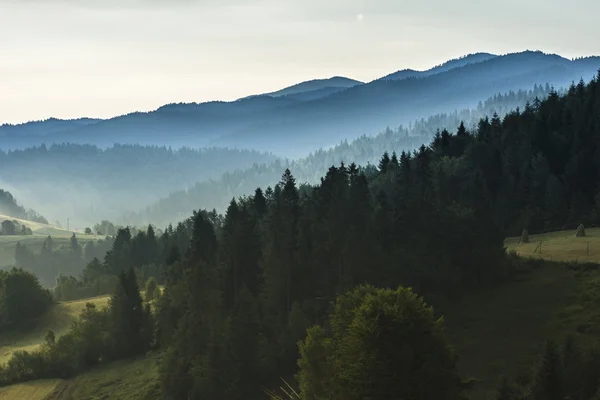 Collines dans le brouillard matinal — Photo