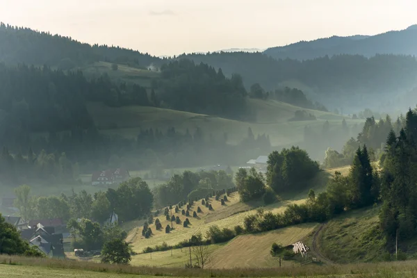 Collines dans le brouillard matinal — Photo