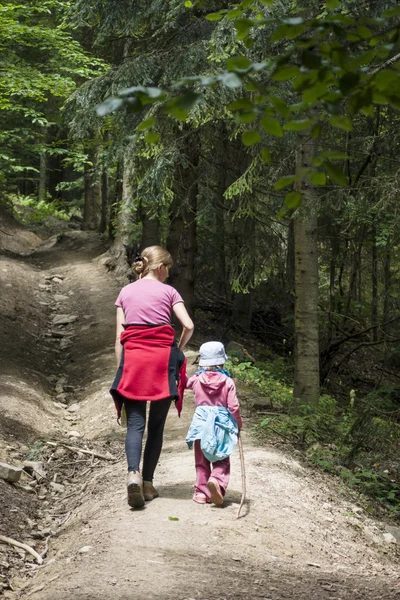 Hiking in forest — Stock Photo, Image