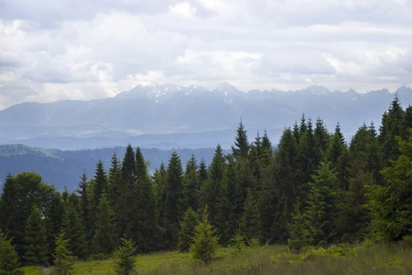 Tierras altas — Foto de Stock