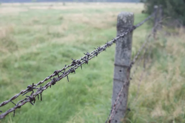 Pole with barbed wire — Stock Photo, Image